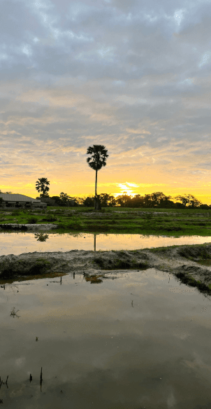 Expérience révélée dans le guide